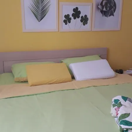 Apartment Hana *
