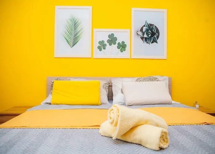 Hana نوفي ساد