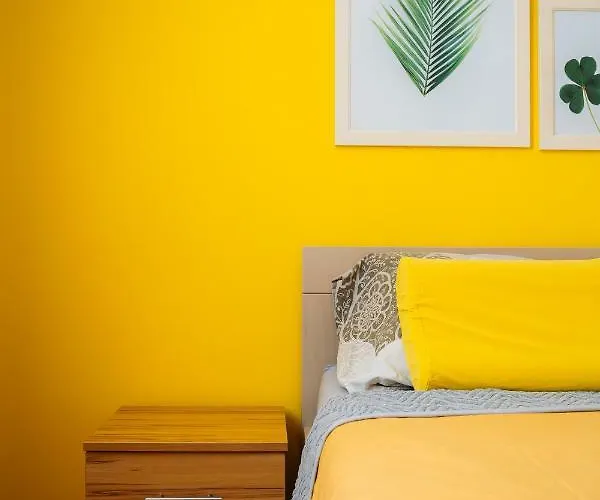 Hana شقة نوفي ساد